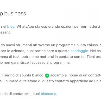 WhatsApp BUSINESS apre le porte alle aziende con la sua versione Aziendale